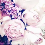 もにょ