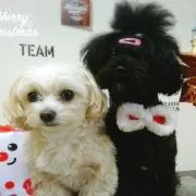 ここのんの画像