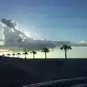 ぽむぽむの画像