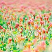 Unsourire（プロフィール要確認）の画像