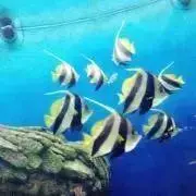 まるの画像