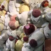 イーコの画像