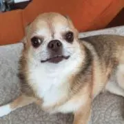 こやた☆セール中☆
