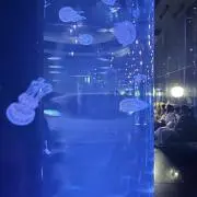 かぶの画像