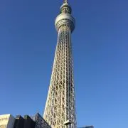 楊端和の画像