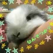 ゆさょ☆の画像