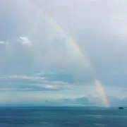 ユモモの画像