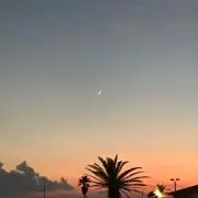 うさぎ(プロフ参照)