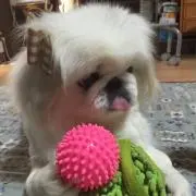 えみーしゃんの画像