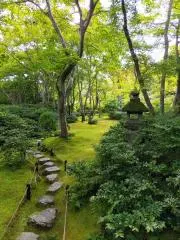 どんぐりショップの画像