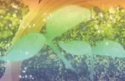 もか（プロフ確認お願いします）の画像