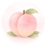 モモの画像