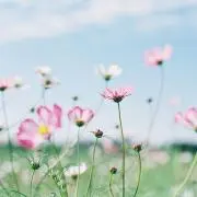 なぁの画像