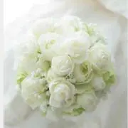 whiterose❁⃘*.゜の画像