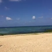 あいさ