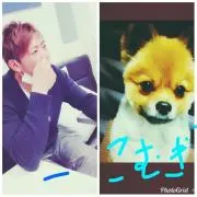 コムギ