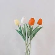 myuu◆の画像
