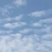 myuの画像