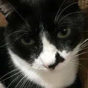 tuyutwoの画像
