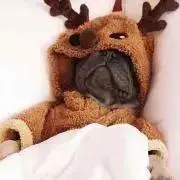 TMKの画像