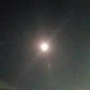 のっこ
