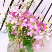 みーたん