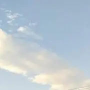 ミンガス