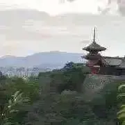 アラタの画像