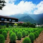 greenの画像