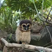 yu-aの画像