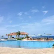晴ママ♡の画像