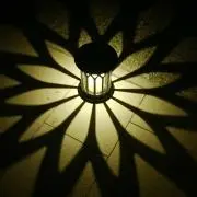 picotの画像