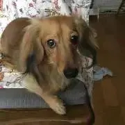 QUEEN❤️プロフは必ず読んでネ❣️
