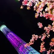 ma♡の画像