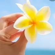 Mahalo☆の画像