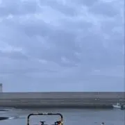 サイの画像