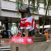 yaの画像