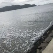 れたすまんの画像