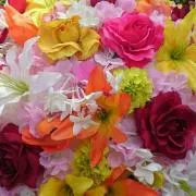Rinmam