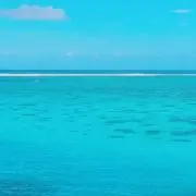 たかみんの画像
