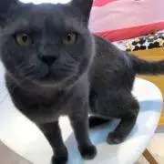 ニコ☆平日発送です。の画像