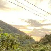 ポポの画像