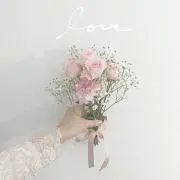 イナの画像
