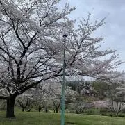 けんけん