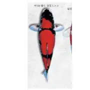 森のきゅうり　8日待ちの画像