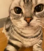 so-re-の画像
