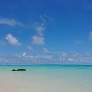 ブラウン博士