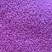 トワの画像