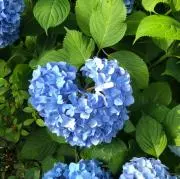 K☆Yの画像