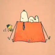 Rinの画像